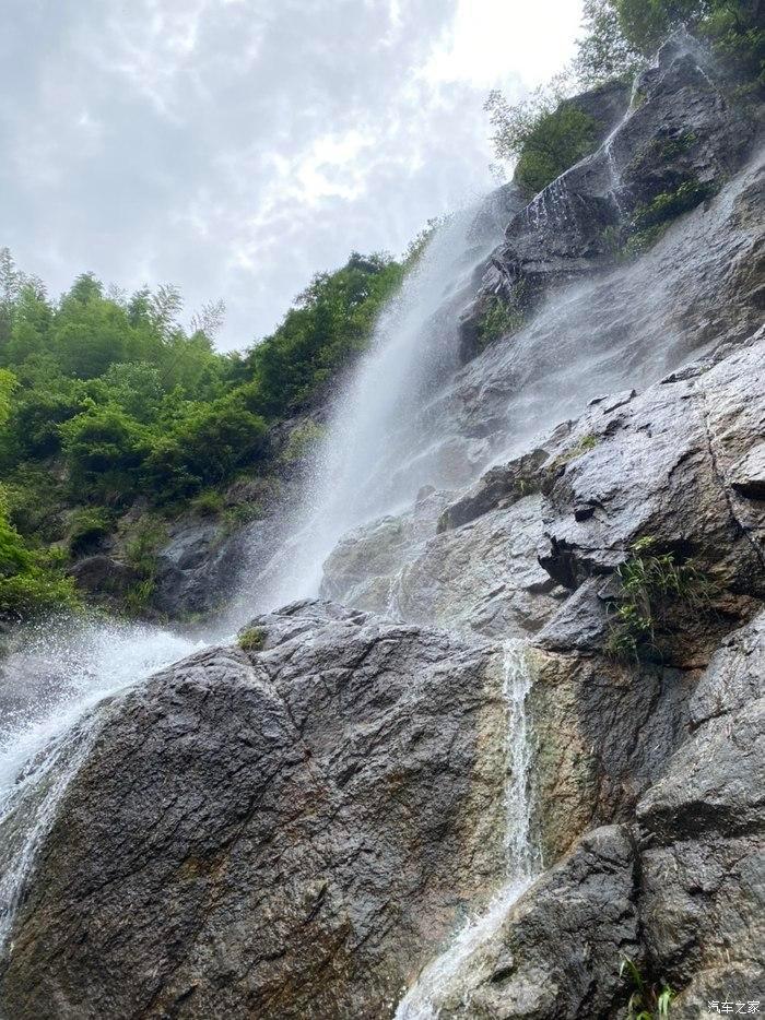 保护僵尸火种
